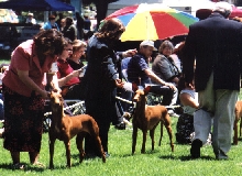 Lompoc 2003