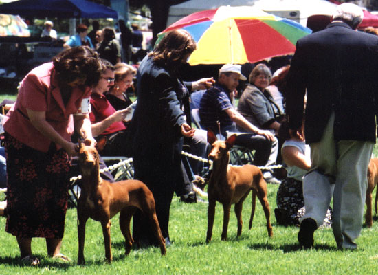 Lompoc 2003
