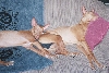 Mom and Daughter