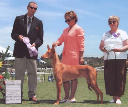 Corsair's BOS Puppy Sweeps pic
