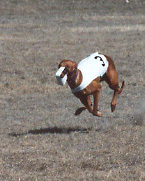 Air Amie in the Air!
