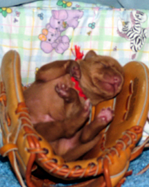 Just For Fun - One Week Old