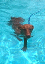 Keepin' Cool in TX
