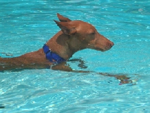 More keepin' cool in TX