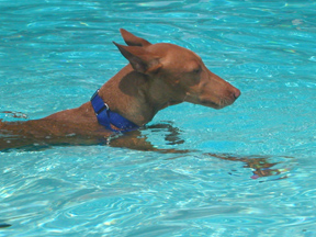 More keepin' cool in TX