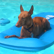 More Floatin' in the pool