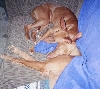 Brother & Sister Love