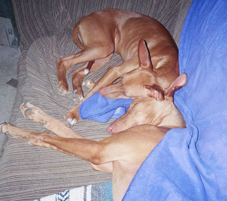 Brother & Sister Love