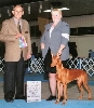 Ranger's Championship