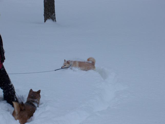 Carving a Path