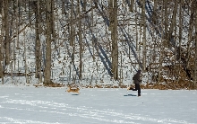 Hoshi and Chris Running