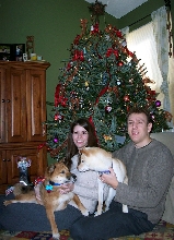 Christmas with Hoshi and Shiba