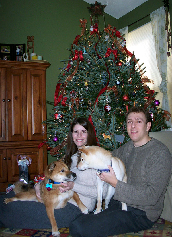 Christmas with Hoshi and Shiba