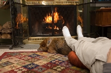 Hoshi Fire 1