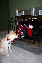 What's in my stocking?