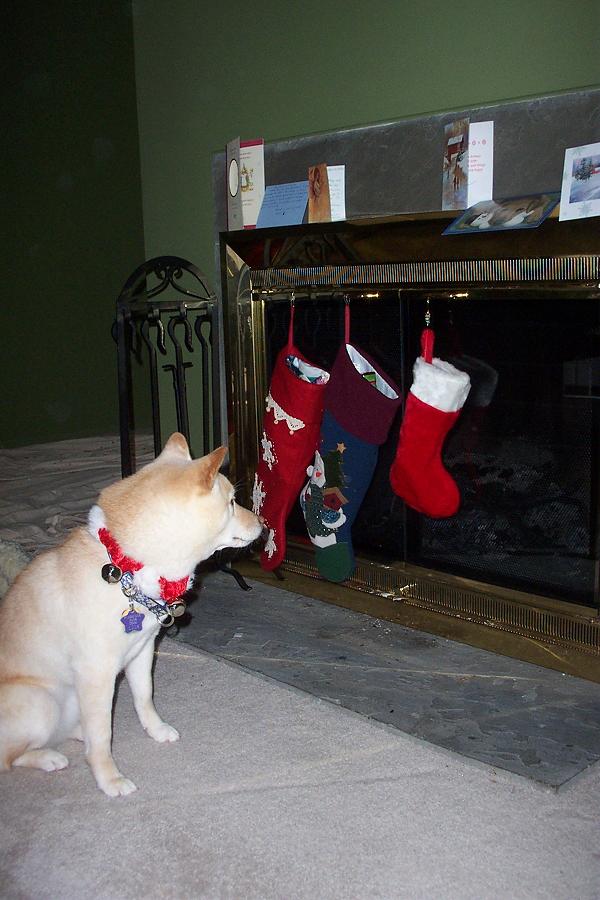 What's in my stocking?