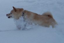 Plowing THrough2