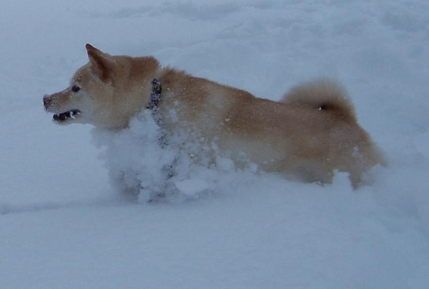 Plowing THrough2