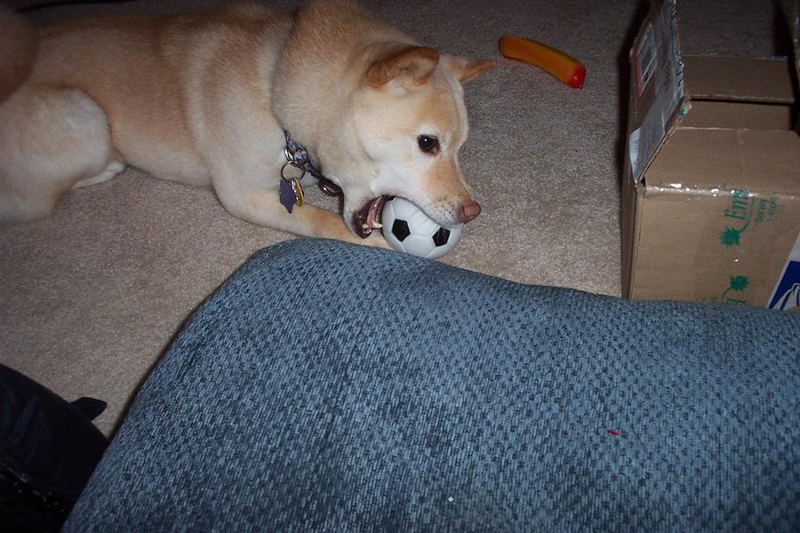 Soccer Ball