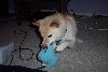 Stuffie from Lisha