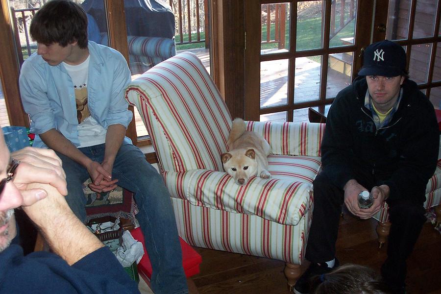 Shiba too pooped to party