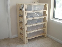 Cornsnake Rack