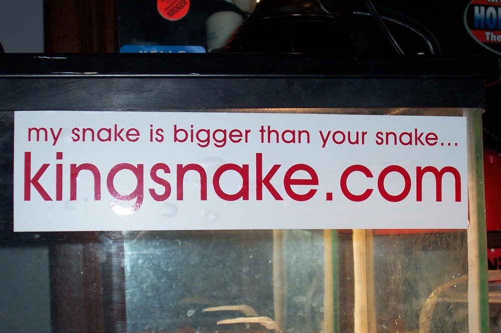 Bumper sticker!