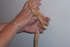 Bullsnake