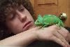 Me and my Veiled Cham