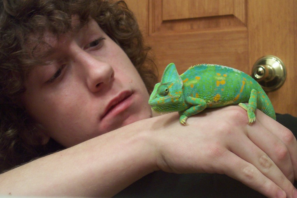 Me and my Veiled Cham