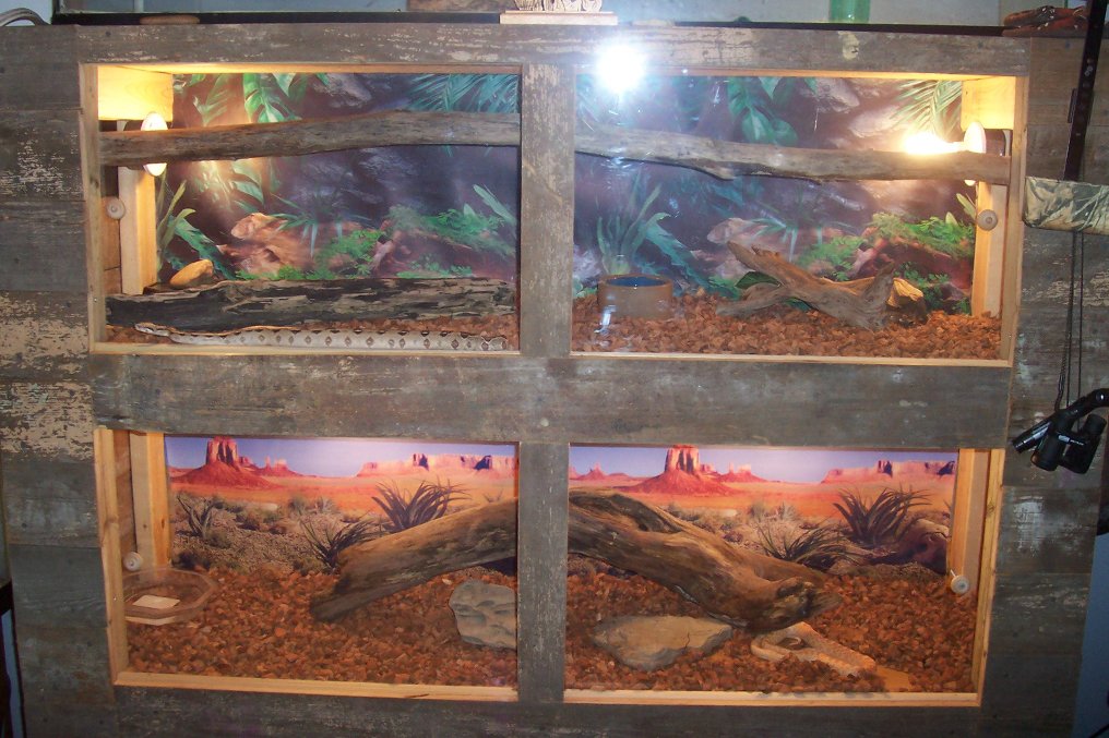 Custom Built Cage