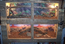 Custom Cage