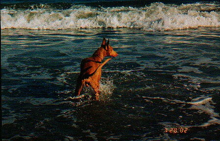 At The Beach