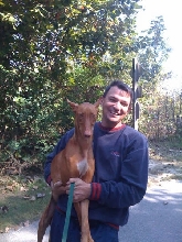 Kacey shortly after rescue