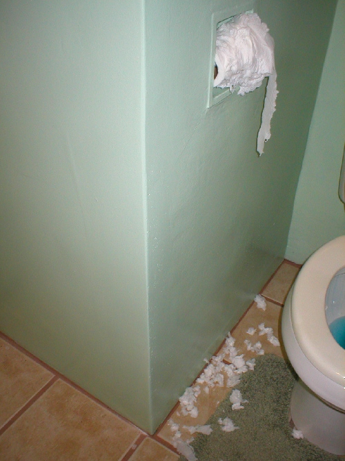 Toilet Paper Murder