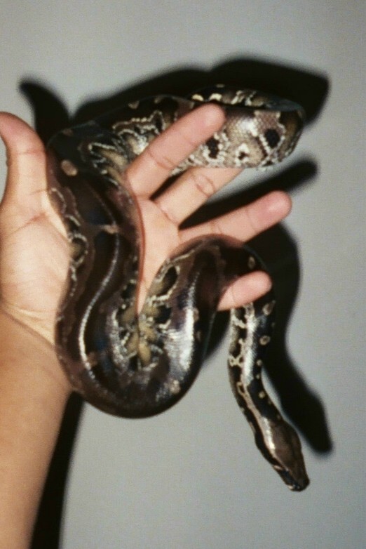 My black blood