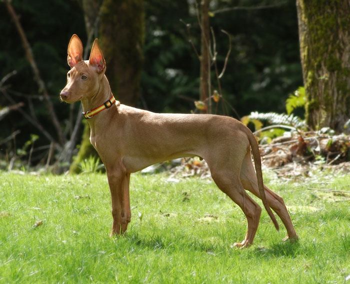 March 28- Rooney Standing Still