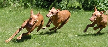 May29A-Run