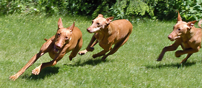 May29A-Run
