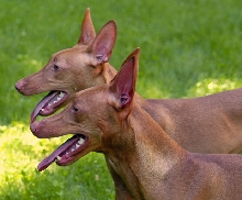 May29B-MotherSon