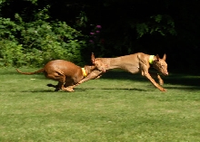 June26-Run