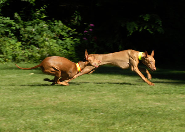 June26-Run