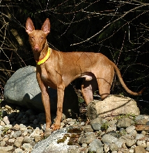Sunny Day 3