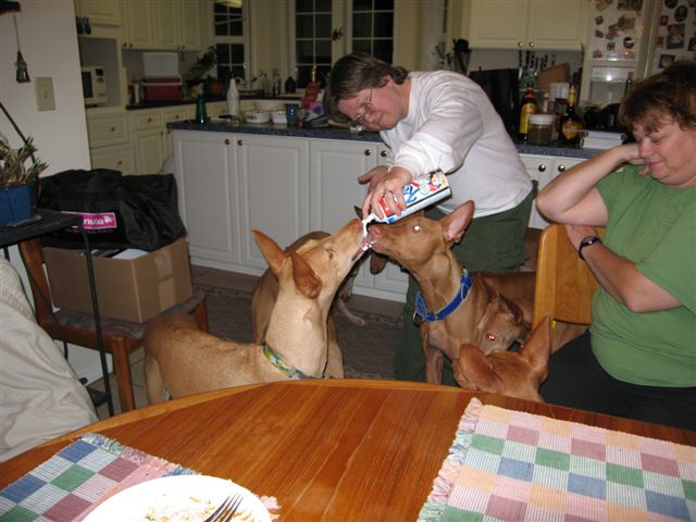 Party - Whipped Cream 2
