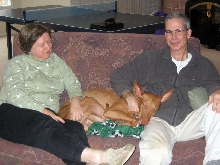 Rooney Birthday Nap