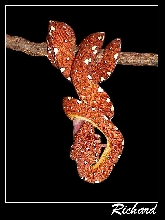 My baby gtp 03