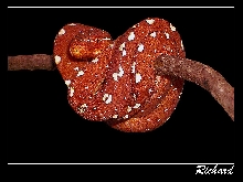 My baby gtp 04