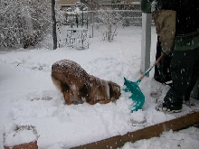 snow for me!