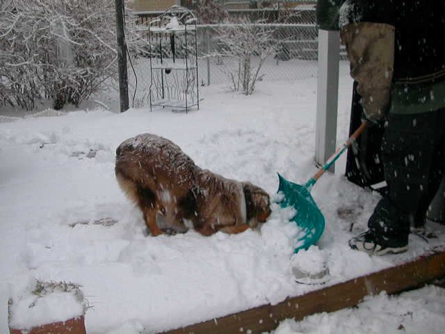 snow for me!