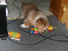 nap time